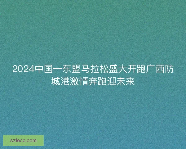 2024中国—东盟马拉松盛大开跑广西防城港激情奔跑迎未来