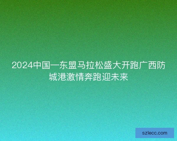2024中国—东盟马拉松盛大开跑广西防城港激情奔跑迎未来